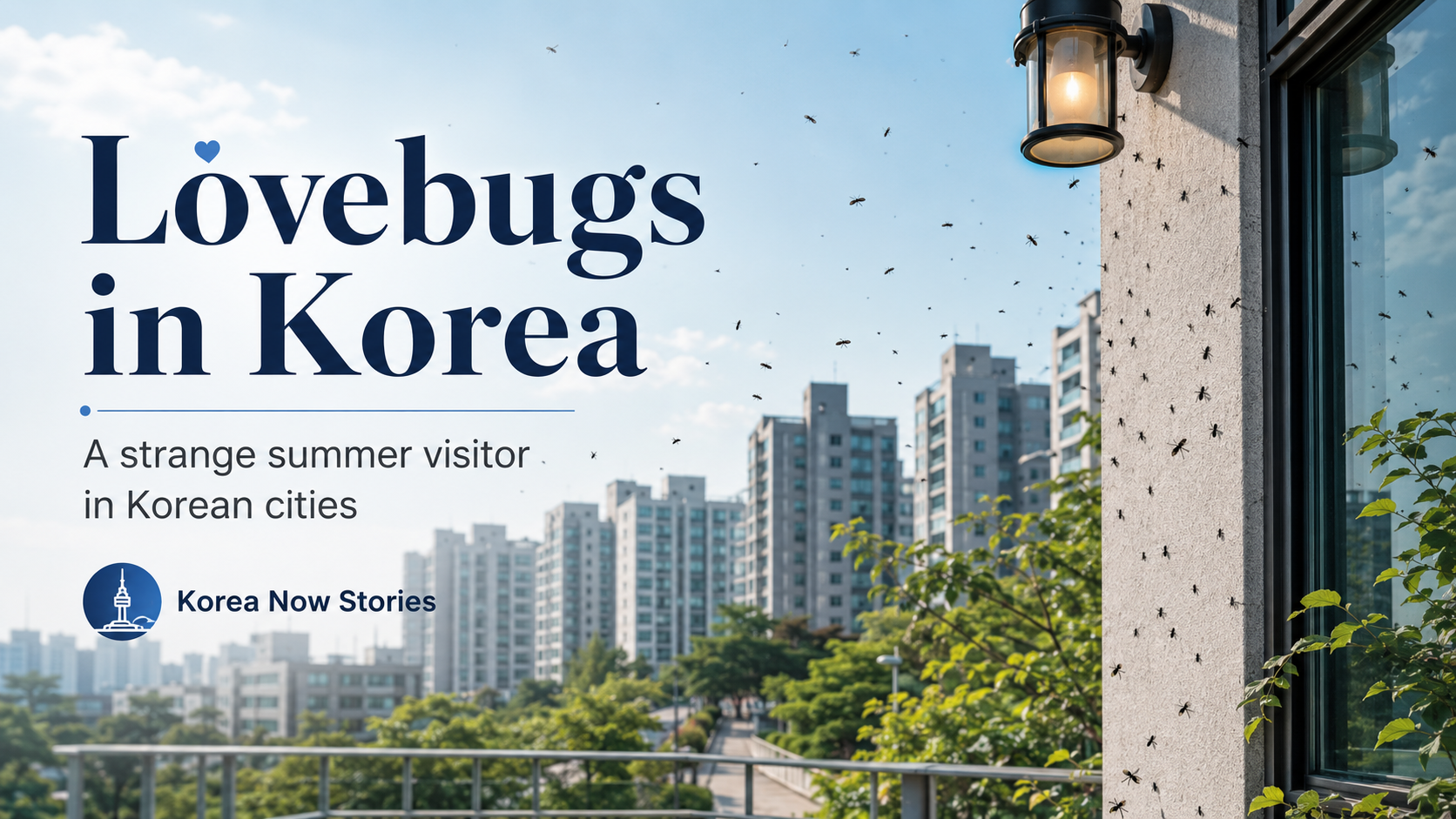 Why Lovebugs Became a Summer Story in Korea